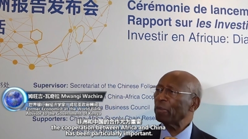 Insights丨African economist calls on more emphasis on small and medium-sized Chinese enterprises in Africa