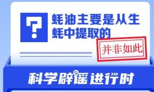 中新真探：蚝油是直接从生蚝中榨取的吗？