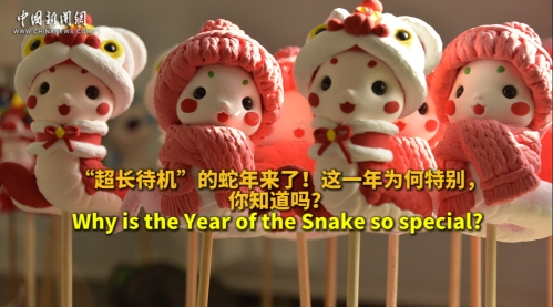 CNY Fact | Why is the Year of the Snake so special? 