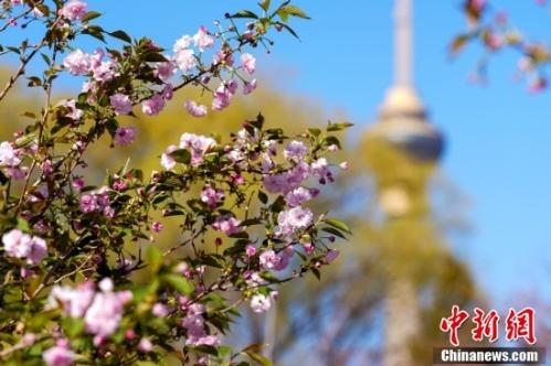 10 big things about China you should not miss (Mar. 16-Mar. 22)