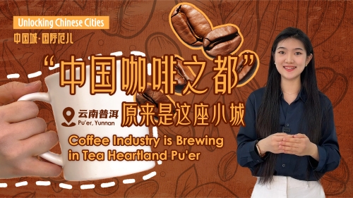Unlocking Chinese Cities | Coffee industry is brewing in tea heartland Pu'er