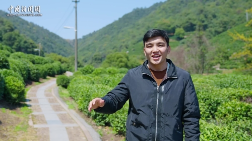 Discovering the charm of the West Lake Longjing tea in E China's Hangzhou