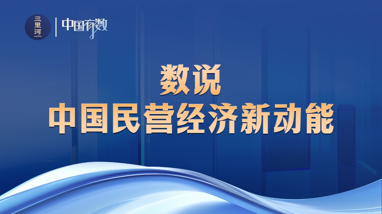 中国有数｜数说中国民营经济新动能