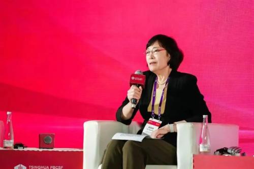 胡晓炼：中企“走出去”有四点独特优势