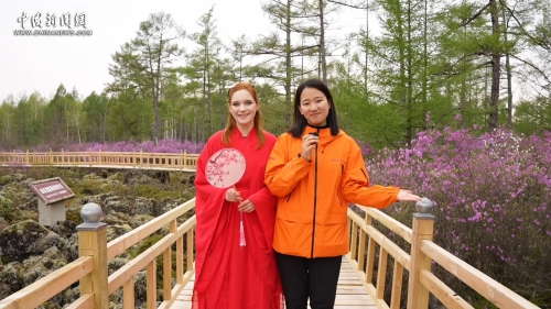 行走美丽画卷｜洋主播穿行百年红松林 解锁“China Travel”新玩法