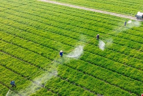 中华全国供销合作总社：解决单个农户自身不会做、做不好的事情