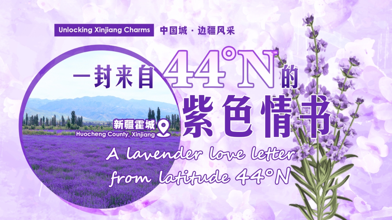 Unlocking Xinjiang Charms | A lavender love letter from latitude 44°N