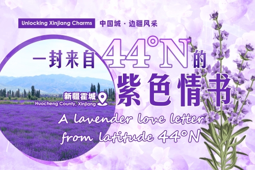 Unlocking Xinjiang Charms | A lavender love letter from latitude 44°N