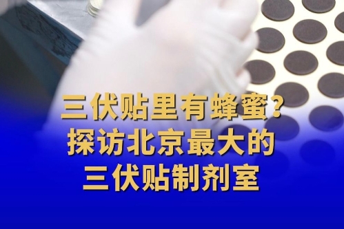 三伏贴里有蜂蜜?探访北京最大的三伏贴制剂室