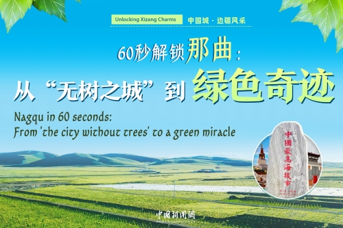 Unlocking Xizang Charms | Nagqu in 60 seconds: From 'the city without trees' to a green miracle