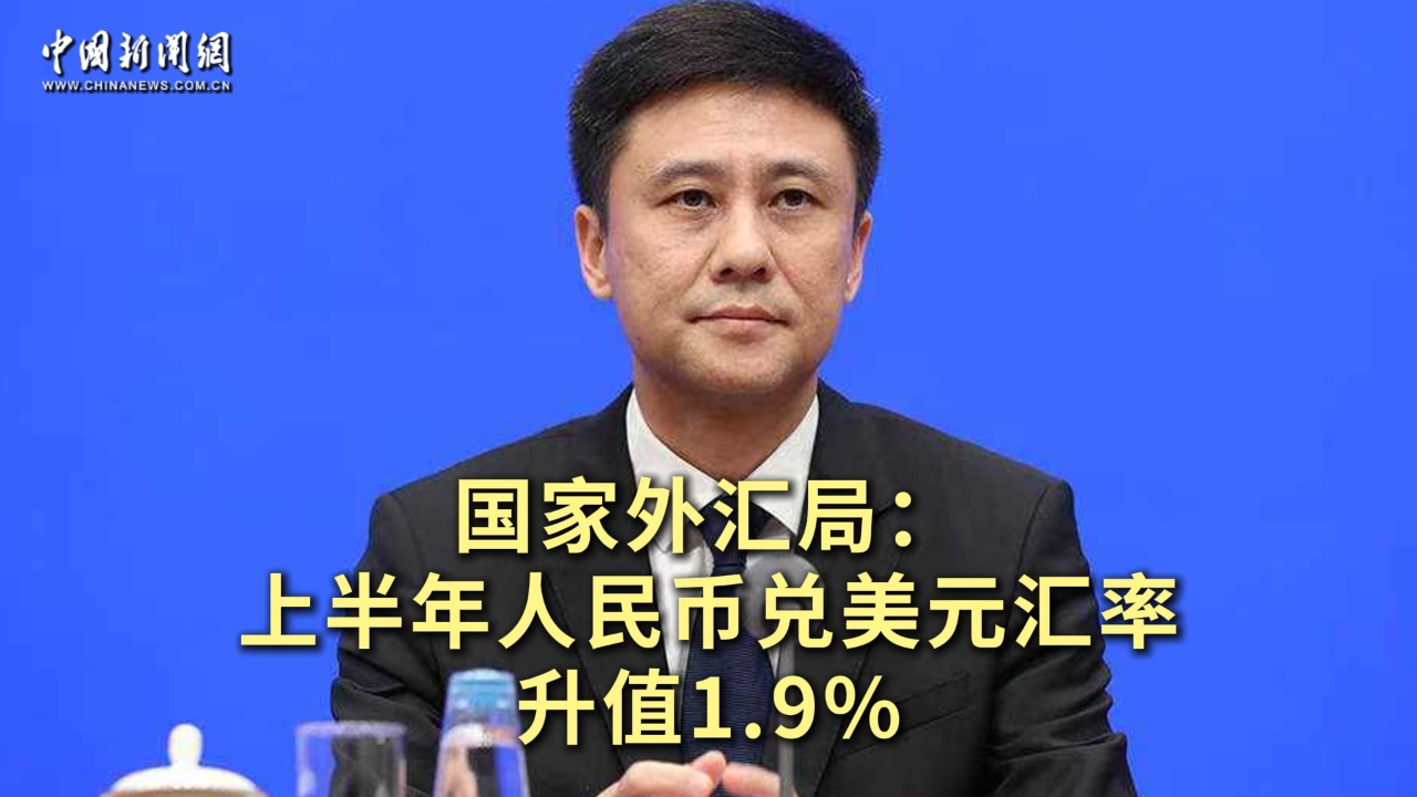 好于市场预期！我国外汇市场展现韧性和活力-中新网