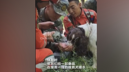 救援现场 甘肃武警用手捧水喂搜救犬