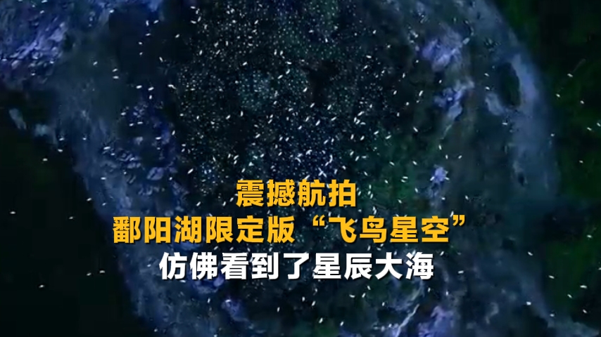 鄱陽湖限定版“飛鳥星空”