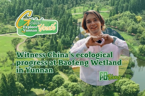Witness China's ecological progress at Baofeng Wetland in Yunnan