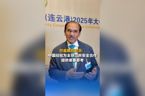 Pakistani PM's special representative: China's experience provides an important reference for global public security cooperation