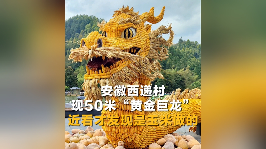 安徽西遞村現(xiàn)50米“黃金巨龍”