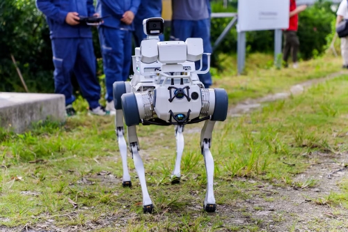 How the power grid powers up agriculture — and amazes foreign guests