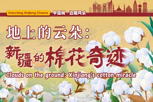  Unlocking Xinjiang Charms | Clouds on the ground: Xinjiang's cotton miracle