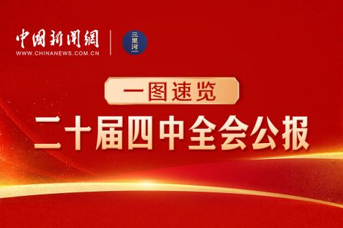 一图速览四中全会公报