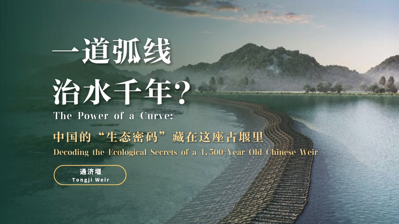 The Power of a Curve: Decoding the ecological secrets of a 1,500-year-old Chinese weir