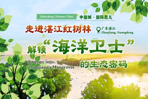 Unlocking Chinese Cities | Journey into Zhanjiang's Mangroves
