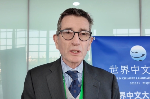 Insights | Culture and education have no borders: Italian scholar