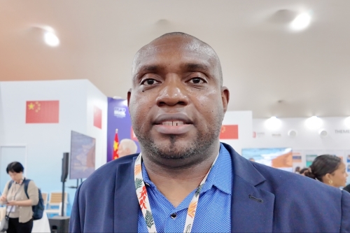 Insights | Nigeria expert: Nigeria-China cooperation can accelerate global ecological restoration
