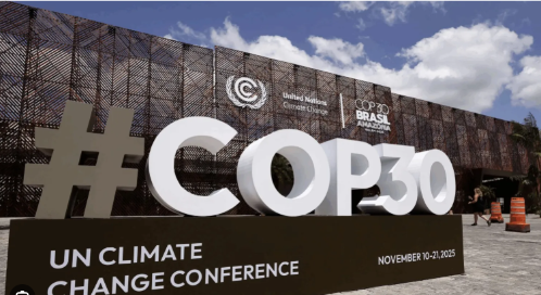 国际机构官员高度评价中国治土实践：从“三北”到碳汇的中国答案丨世界观