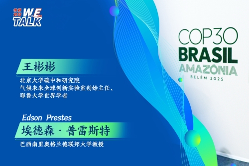 北大学者王彬彬：中国正以史无前例的速度，推进能源绿色转型