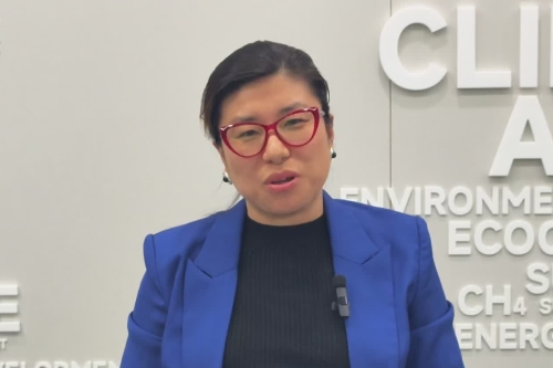 China’s clean-tech push expands global energy freedom: Chinese scholar