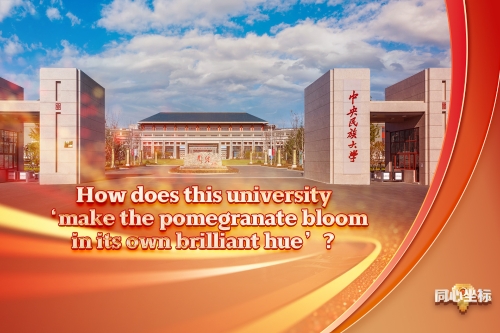 United in Heart | How does this university 'make the pomegranate bloom in its own brilliant hue'?