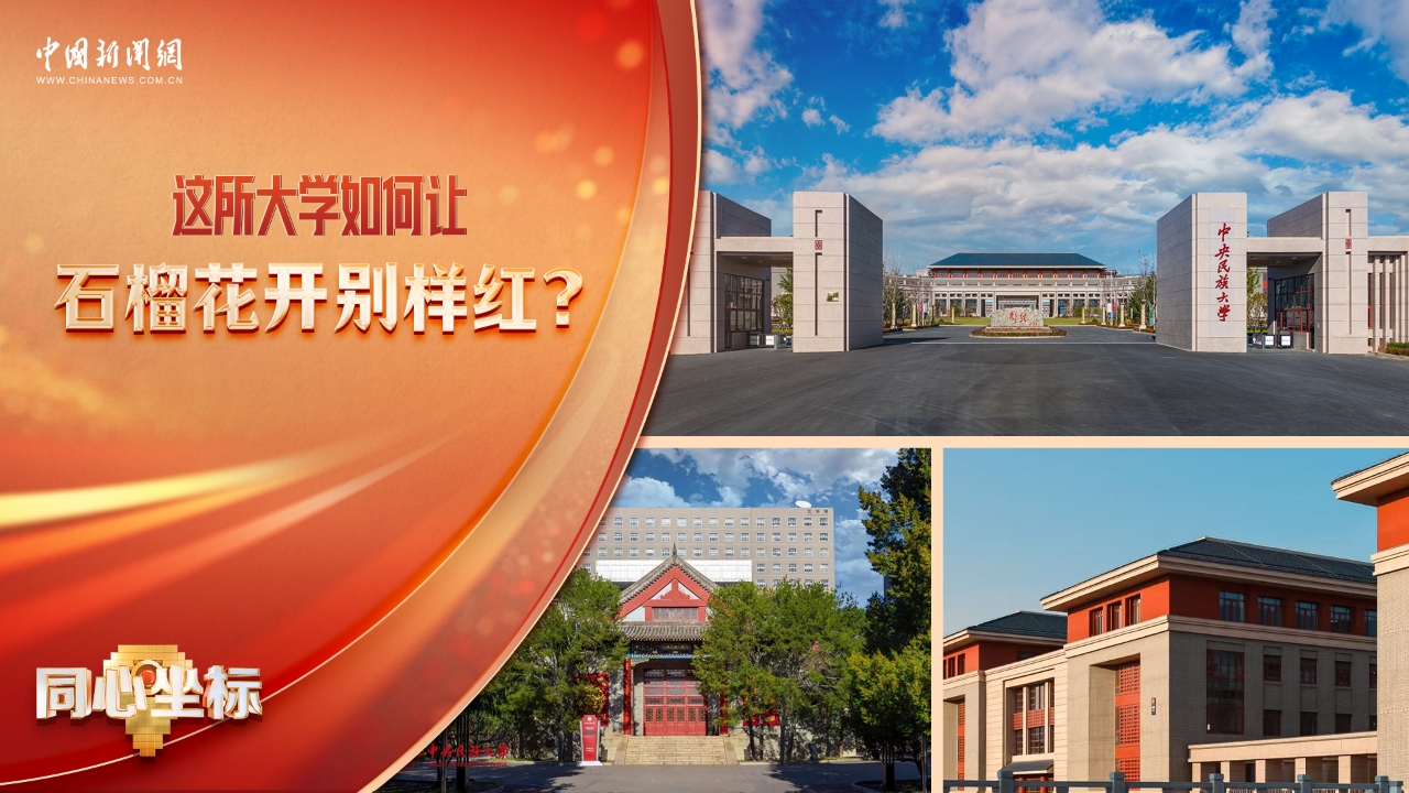 这所大学如何让石榴花开别样红？