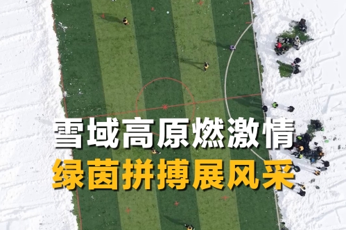 雪域高原燃激情 绿茵拼搏展风采