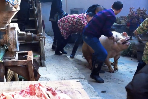 恩施彭家寨：刨汤宴飘香 土家年味浓