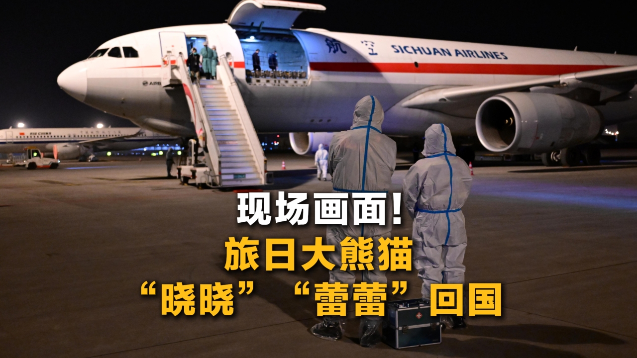 旅日大熊貓“曉曉”“蕾蕾”回國