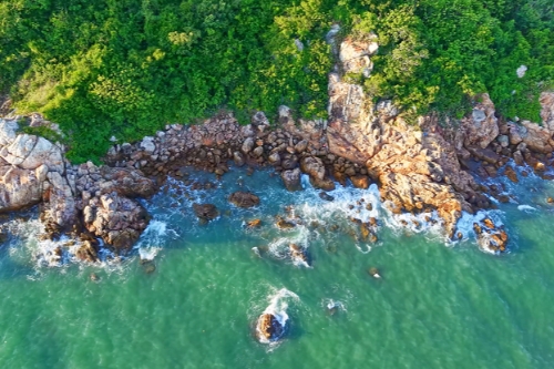 From ferry to gateway: how Hainan's customs closure powers ASEAN-China common market?