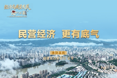 经济高质量发展里的“心”与“新”｜民营经济，更有底气