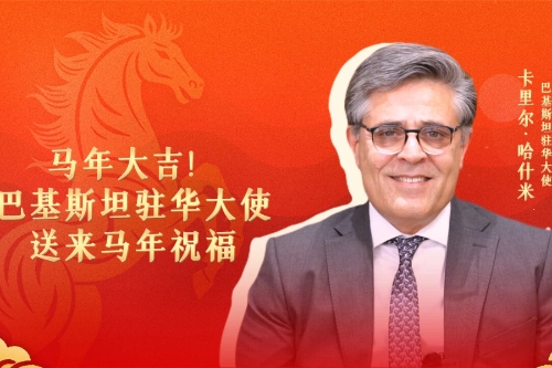 Ambassador of Pakistan to China wishes Chinese people 'an auspicious Year of the Horse'