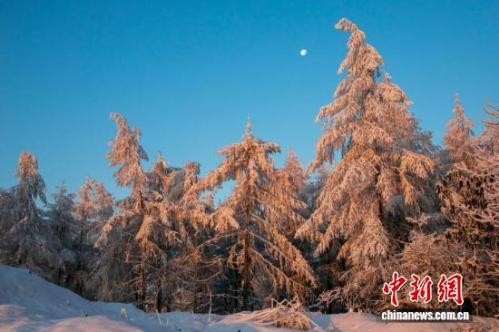 China's forest coverage reaches 241 million hectares, about 100 trees per person