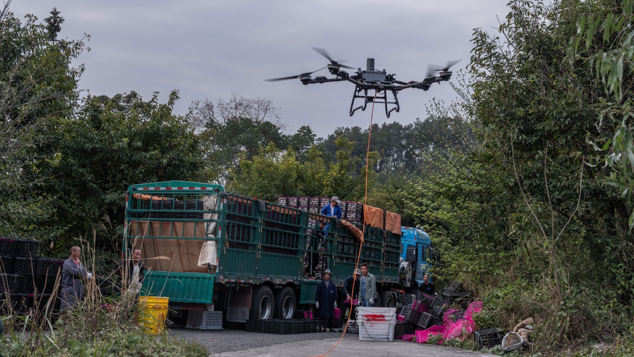 四川蒲江：采摘旺季山区果农用无人机转运耙耙柑下山