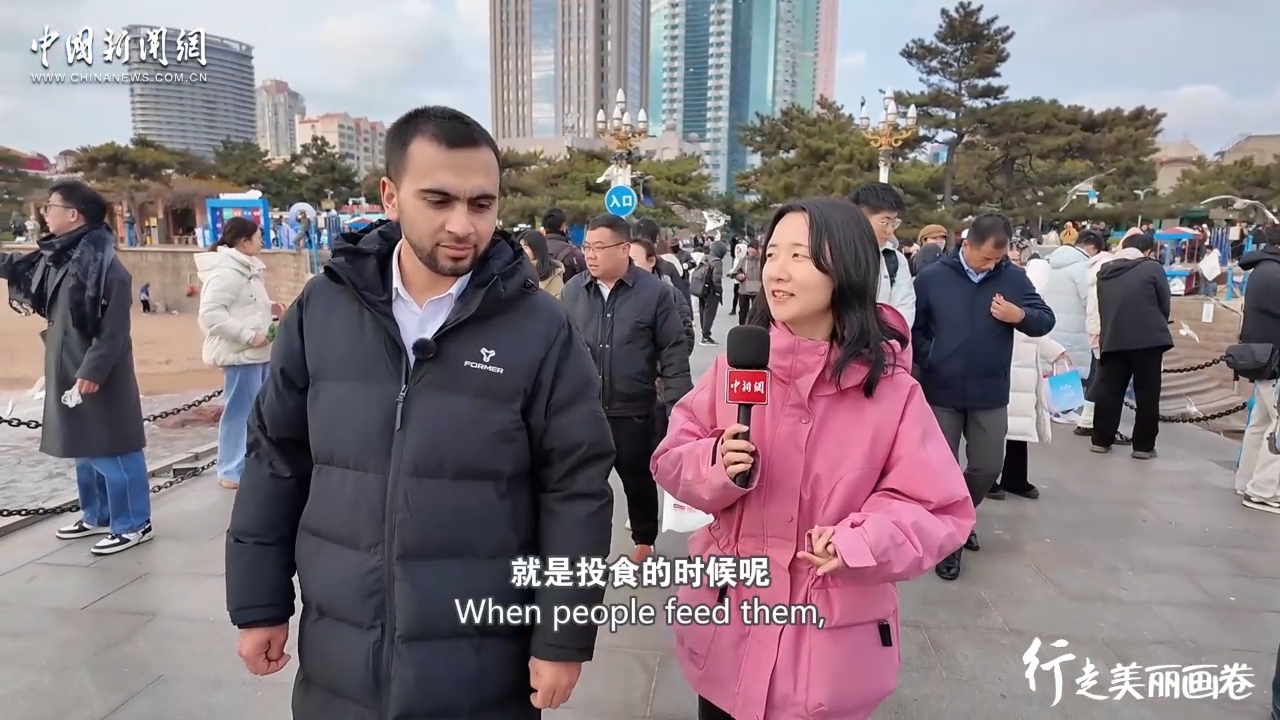 赴青岛栈桥 与海鸥邂逅一场“海边Live”