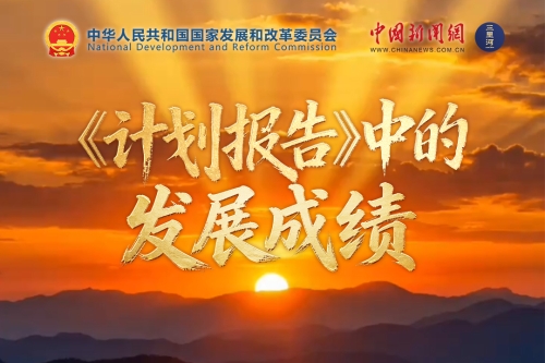 《计划报告》中的发展成绩