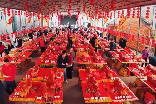 百豬開筵，香飄全城！湛江肖漁村年例震撼上演