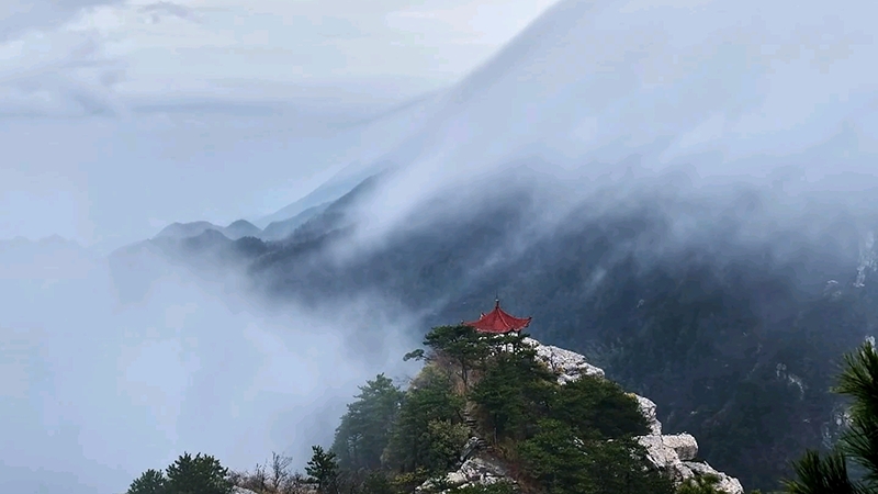 江西庐山：云雾漫峰峦 似水墨丹青