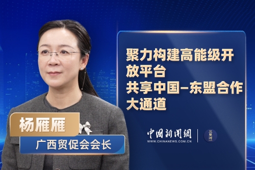 广西贸促会会长杨雁雁：聚力构建高能级开放平台，共享中国-东盟合作大通道