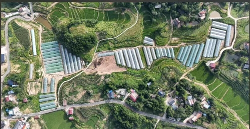 Tunnel explosion in southwest China claims four lives, site closed