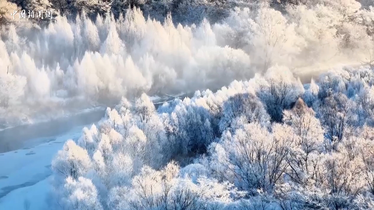 黑龙江大兴安岭：冰雪秘境的生命诗篇