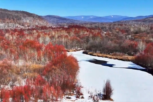 黑龍江松嶺：冰河映紅柳 浪漫四月天