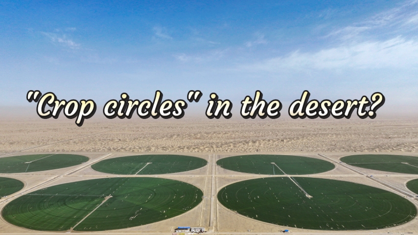 Green 'crop circles' emerge on edge of Taklimakan Desert