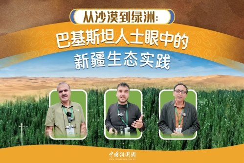 From Desert to Oasis: Pakistani journalists, scholars praise Xinjiang's ecological efforts